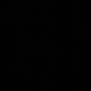 Meet your Posher, Mira